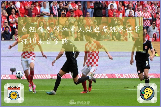 白钰鸣夺得加拿大站世界跳水世界杯10米台金牌